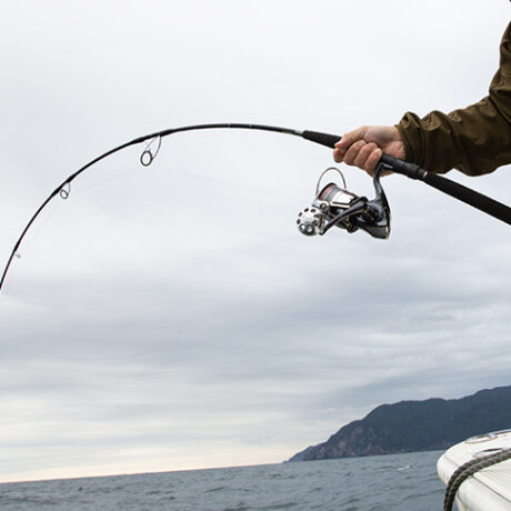 ジギング】オフショアで使用するジギングロッドの特徴と選び方