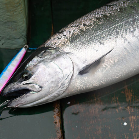 サクラマスジギング用ジグおすすめ12選