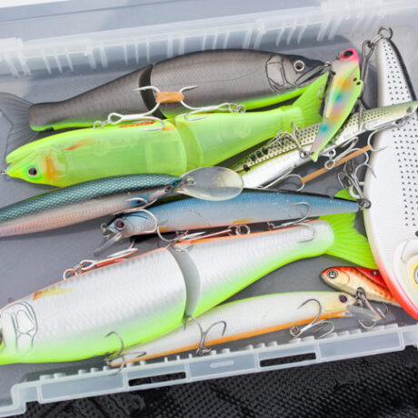 ビッグベイト、プロップ、クランク、i字、ストックルアーズ他引退