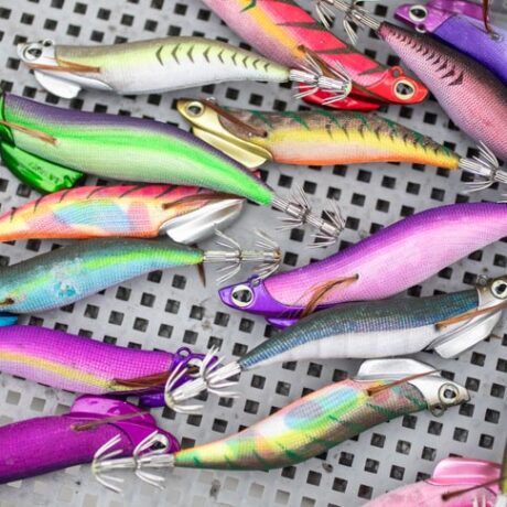 ティップランエギおすすめ10選！選び方のコツも一挙公開